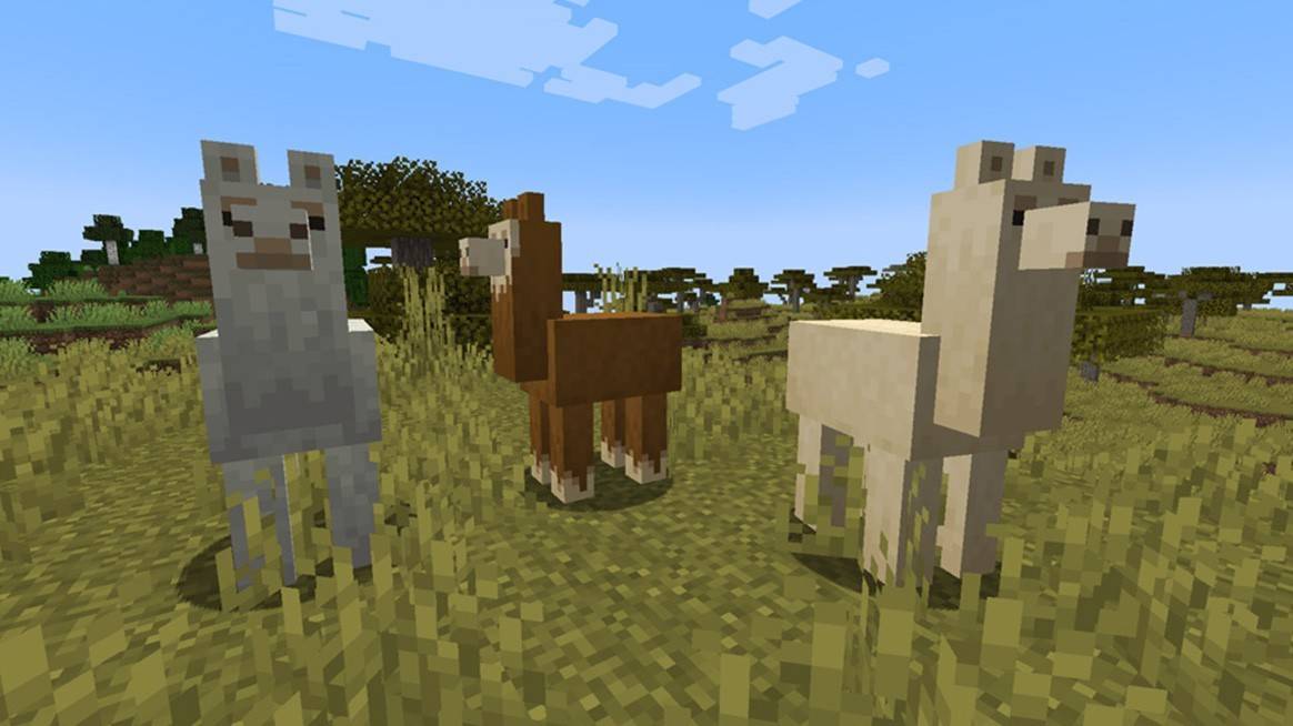 Paghahanap ng llamas