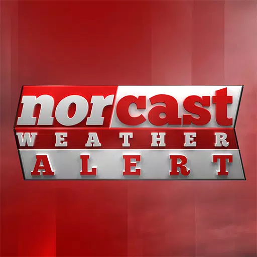 /ru/getapp/norcast-consulting.html