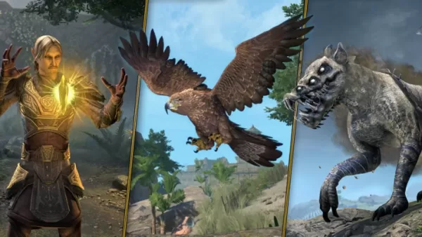 Older Scrolls Online Подклассы приходят после 11 долгих лет поклонников, которые просят его
