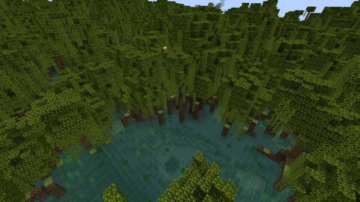 Mangrov