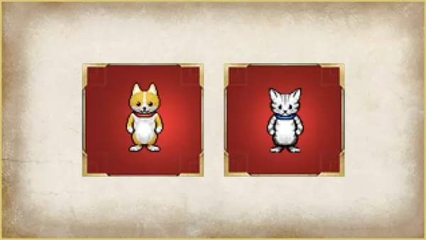 DQIII Save Data Bonus Items