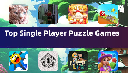Beste Puzzlespiele für Einzelspieler